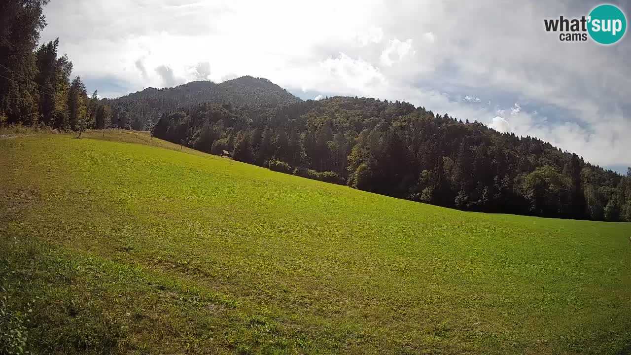 RTC Skigebiet Kranjska Gora | Brsnina