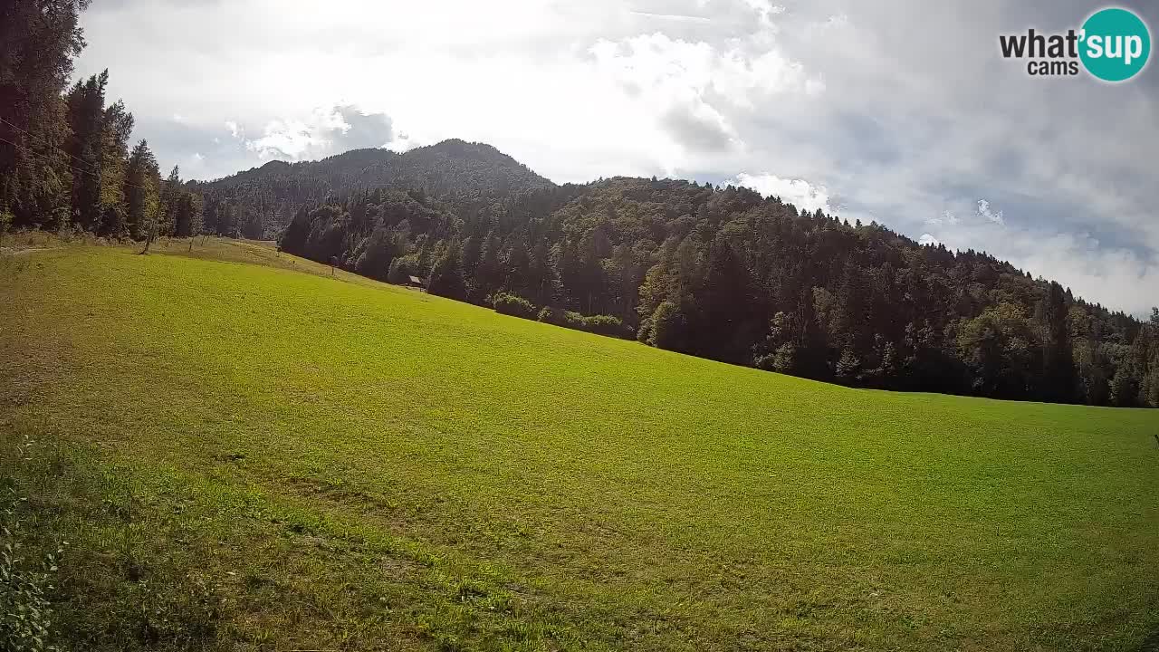 Comprensorio sciistico Kranjska Gora | Brsnina