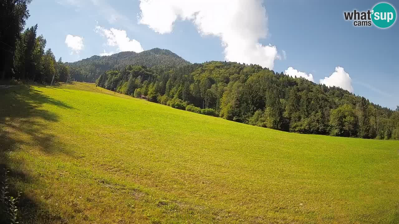 RTC Kranjska Gora | Brsnina