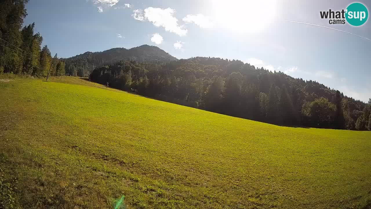Comprensorio sciistico Kranjska Gora | Brsnina