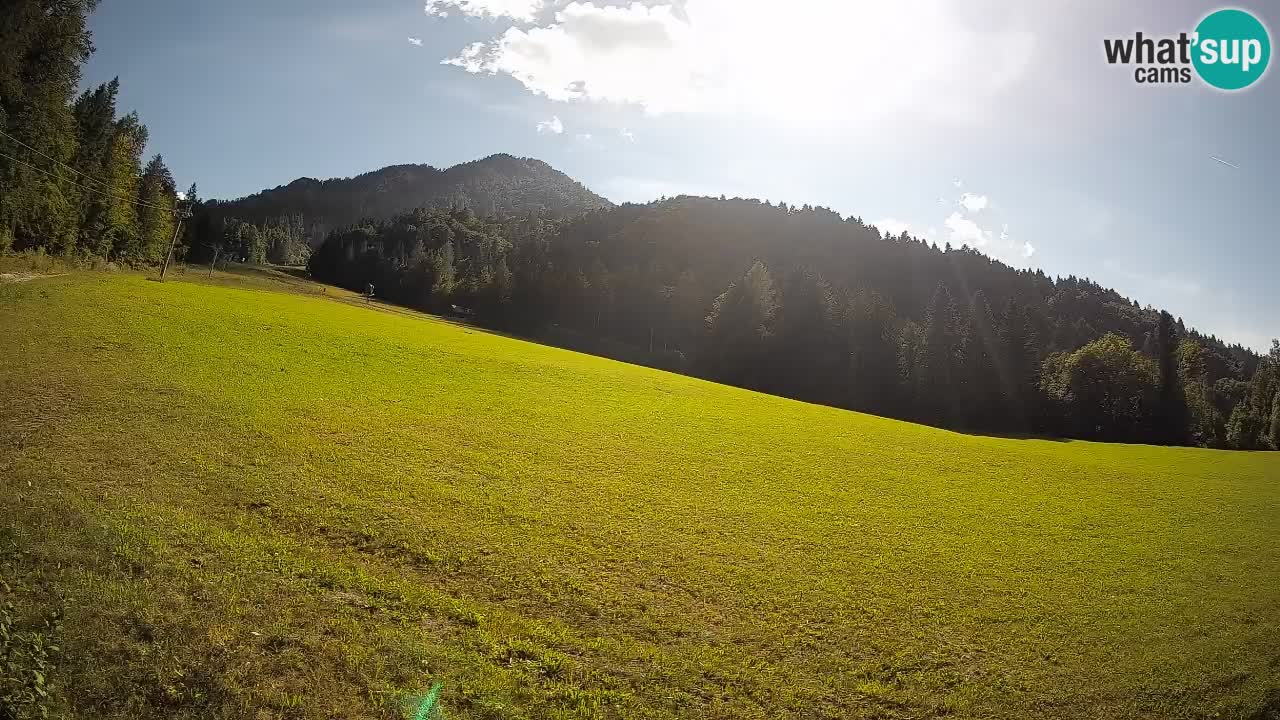 Comprensorio sciistico Kranjska Gora | Brsnina