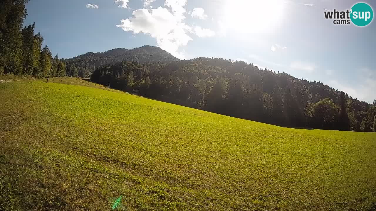 Comprensorio sciistico Kranjska Gora | Brsnina