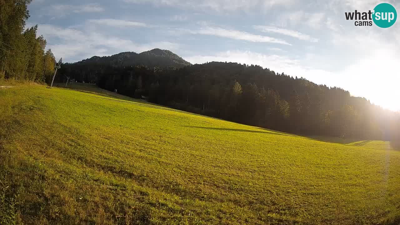 Ski Kranjska Gora | Brsnina