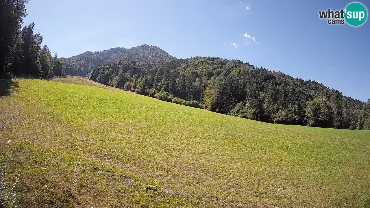 RTC Kranjska Gora | Brsnina