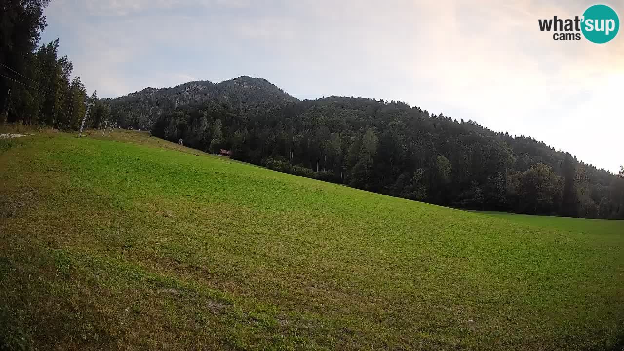 Ski Kranjska Gora | Brsnina