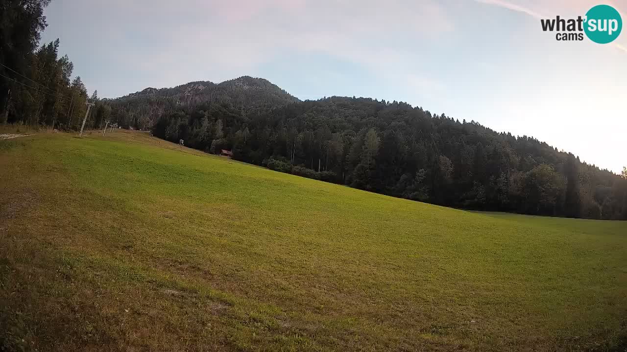 Ski Kranjska Gora | Brsnina