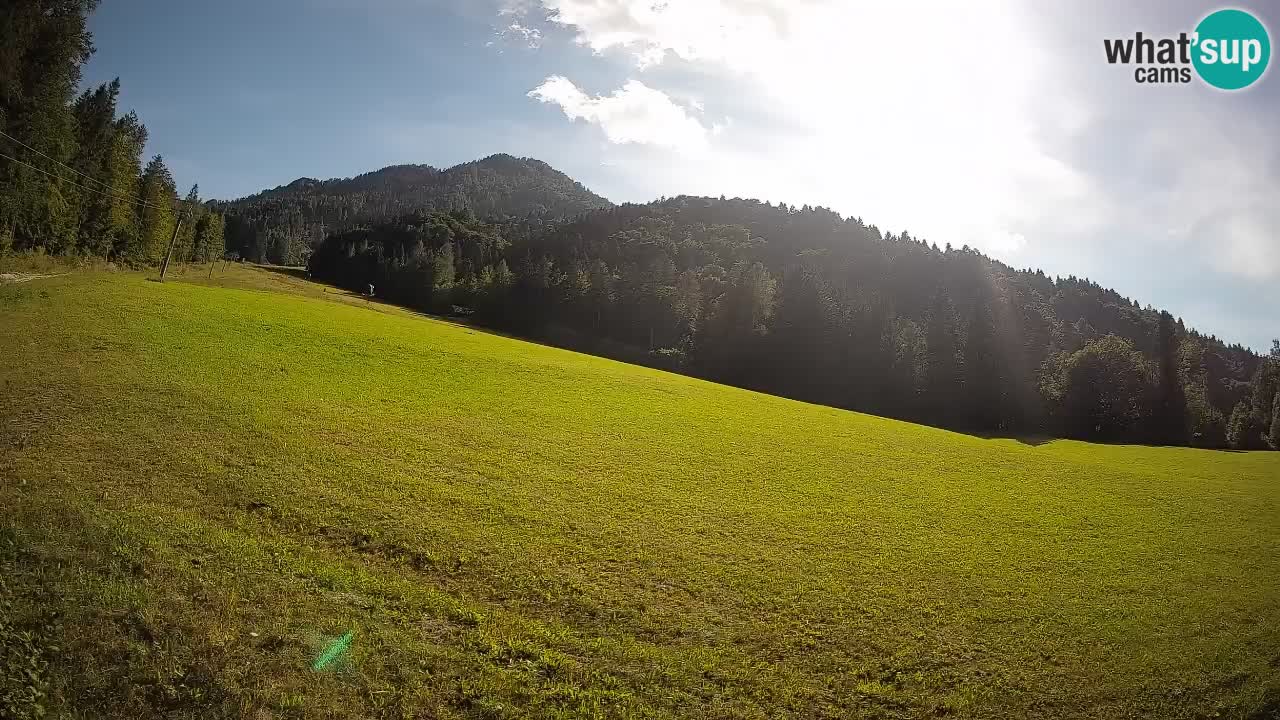 RTC Skigebiet Kranjska Gora | Brsnina