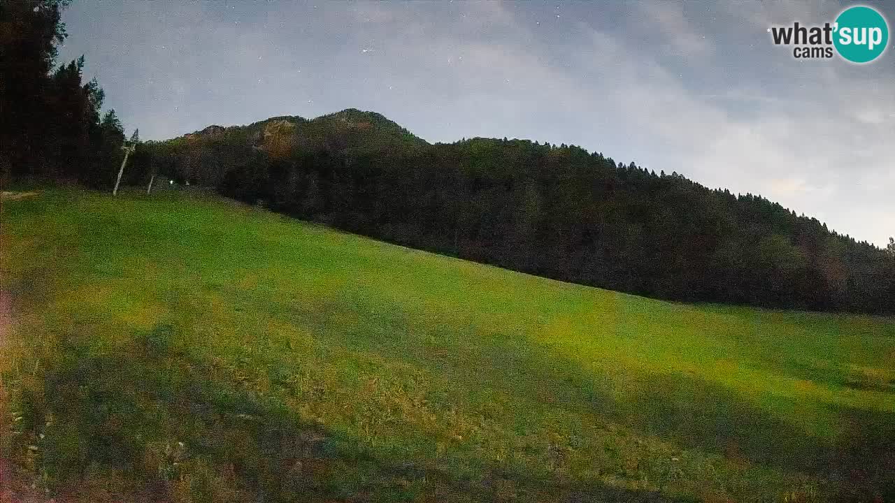 RTC Skigebiet Kranjska Gora | Brsnina