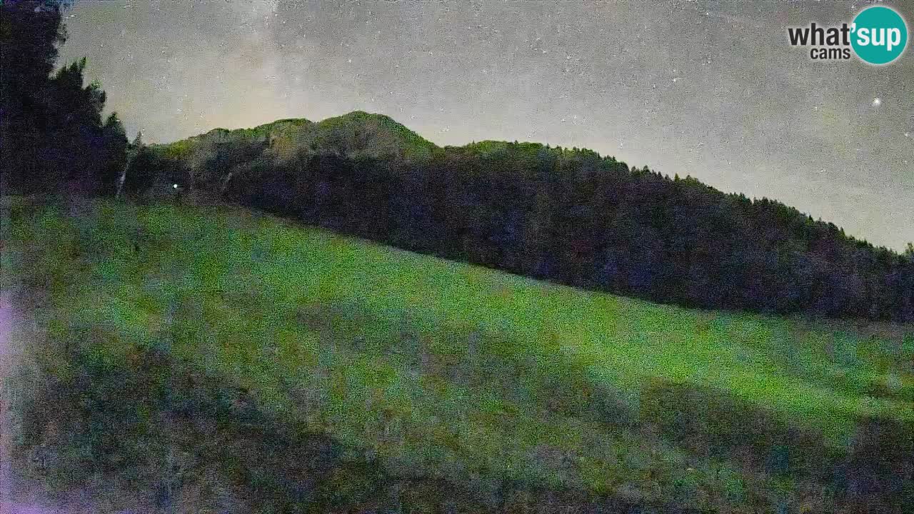 Ski Kranjska Gora | Brsnina