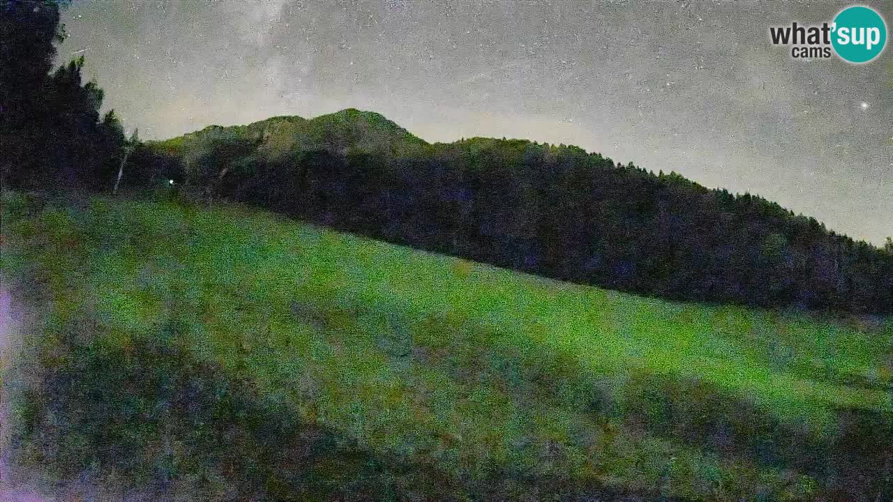 Comprensorio sciistico Kranjska Gora | Brsnina
