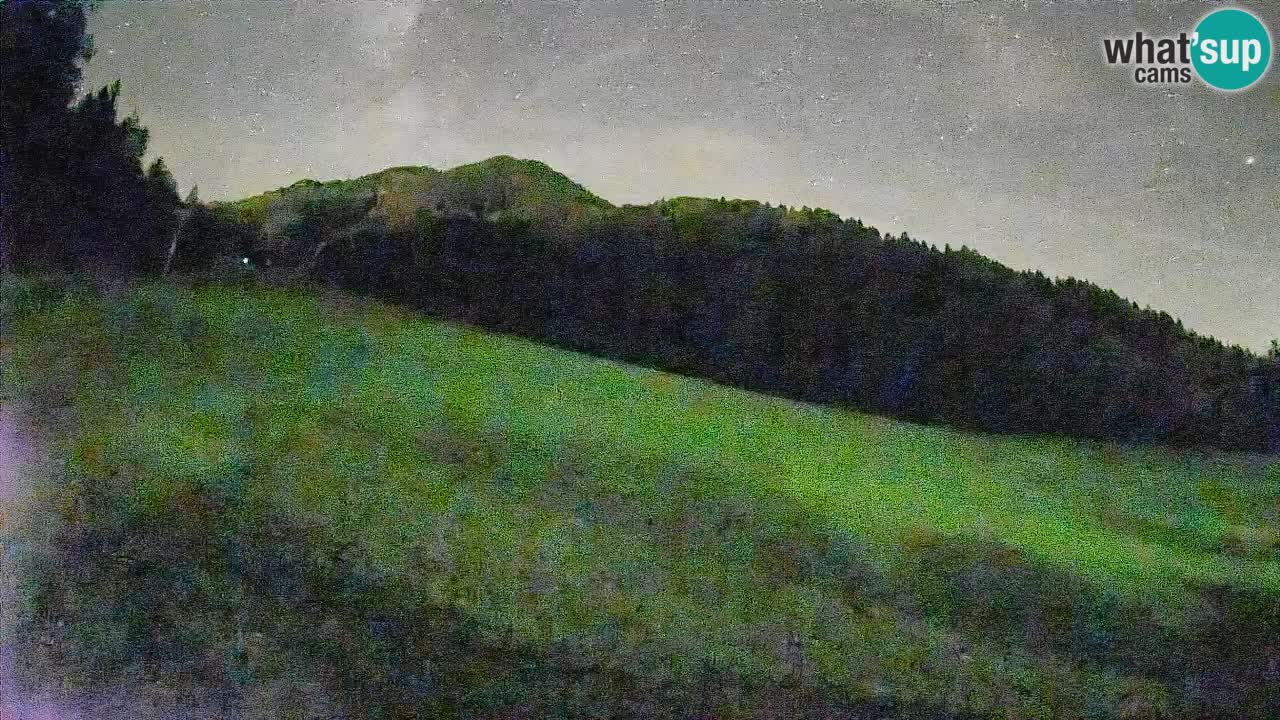 RTC Skigebiet Kranjska Gora | Brsnina