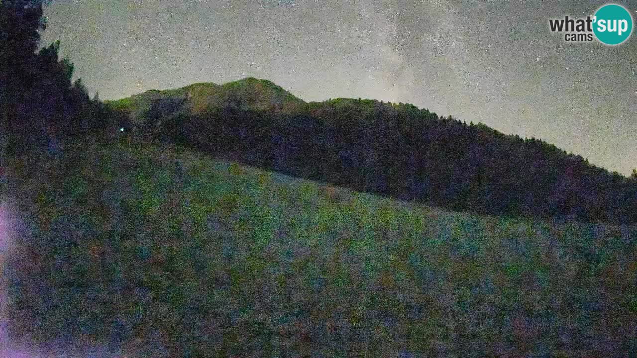 Esquí Kranjska Gora | Brsnina