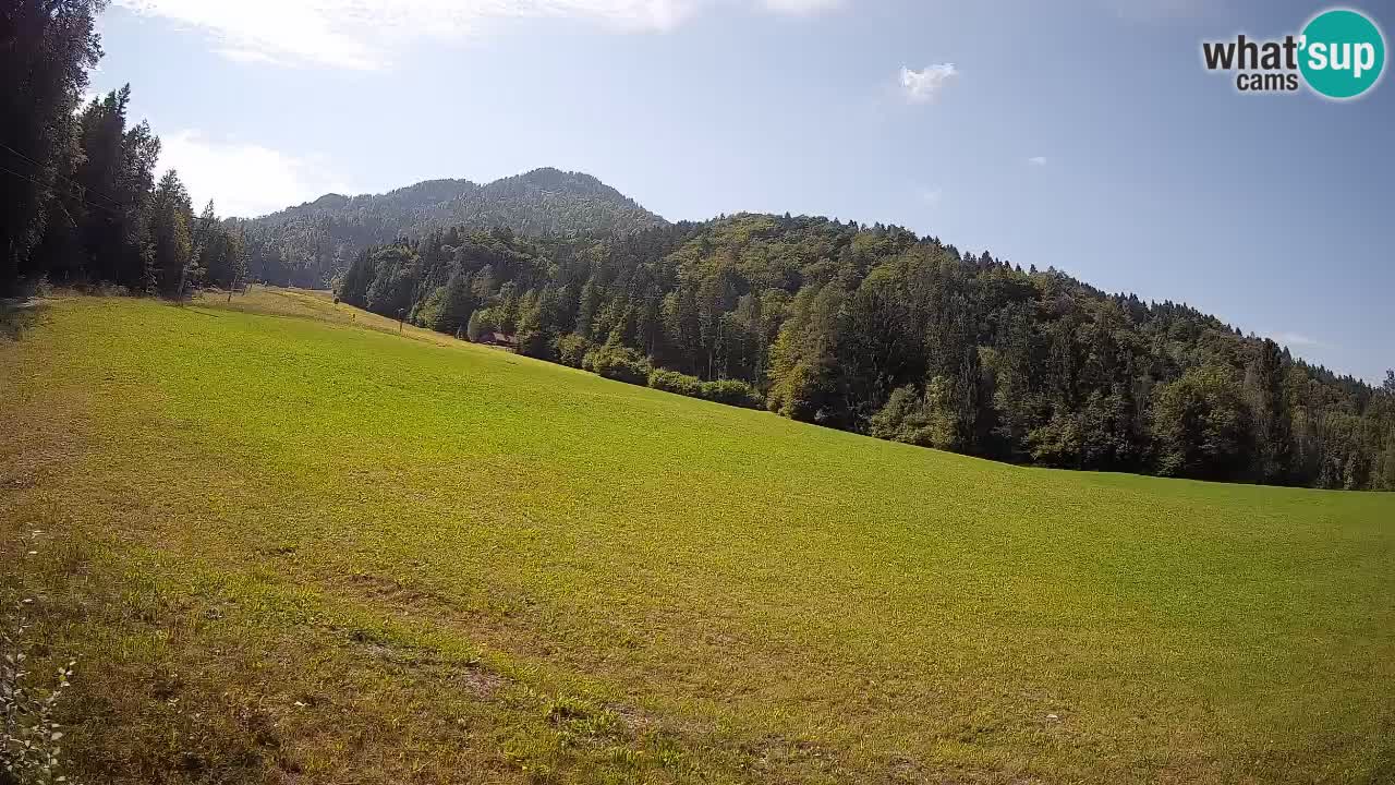 Comprensorio sciistico Kranjska Gora | Brsnina