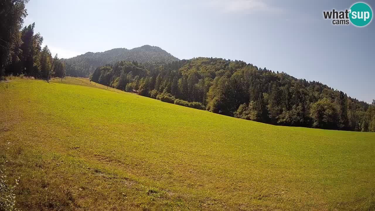 RTC Kranjska Gora | Brsnina