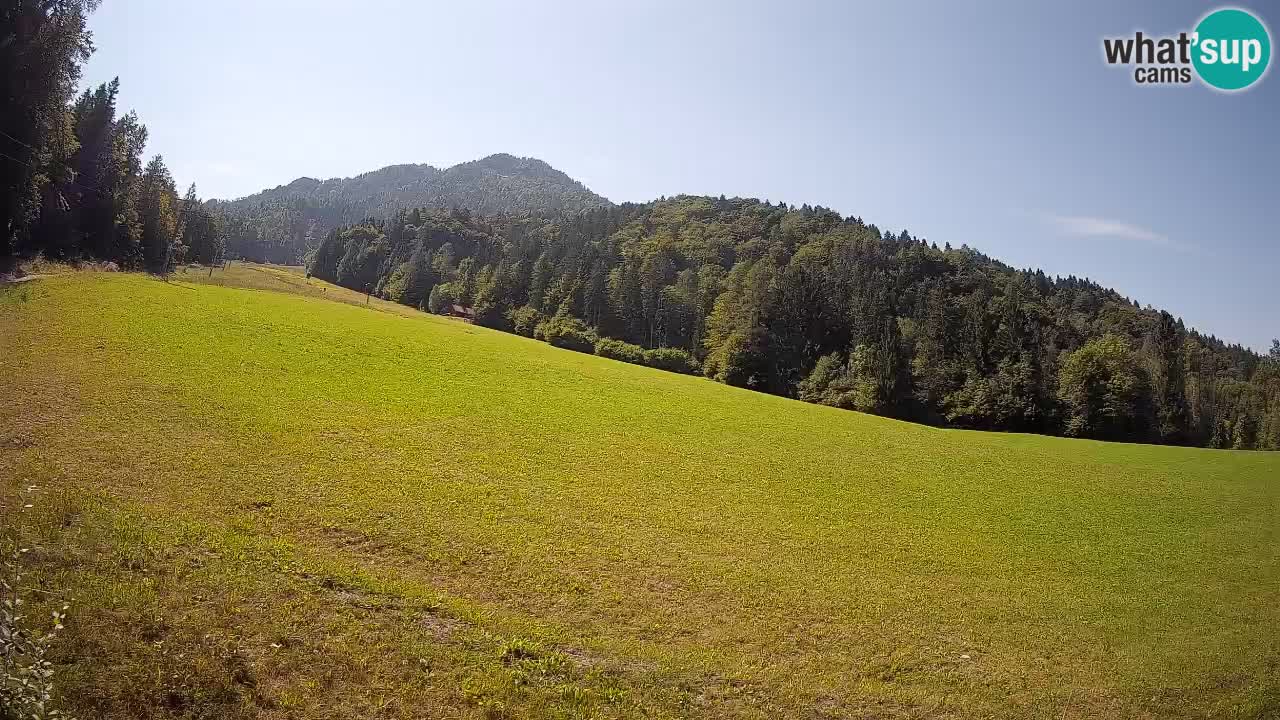 RTC Skigebiet Kranjska Gora | Brsnina