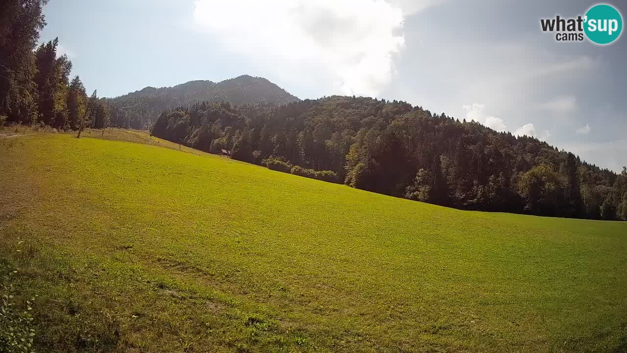 RTC Kranjska Gora | Brsnina