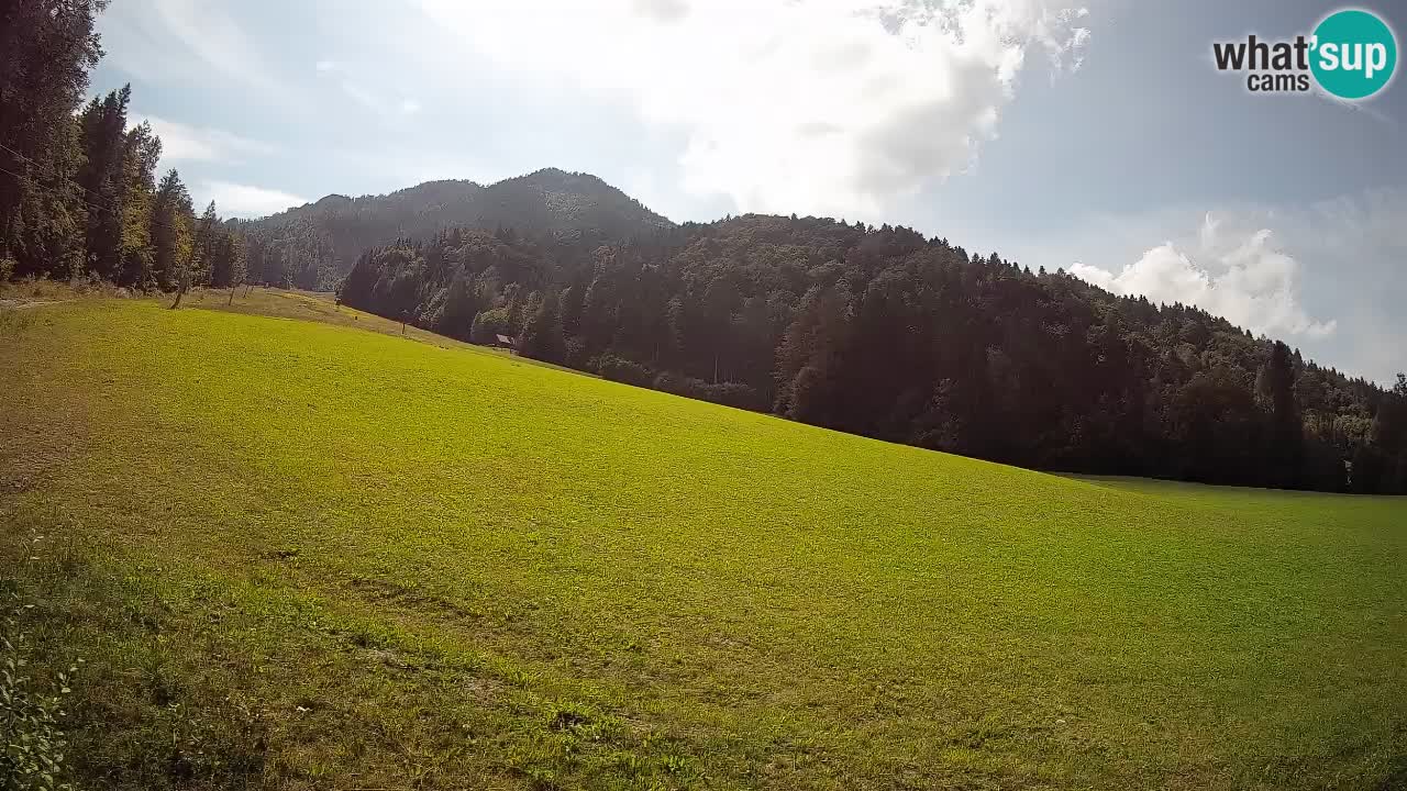 RTC Skigebiet Kranjska Gora | Brsnina