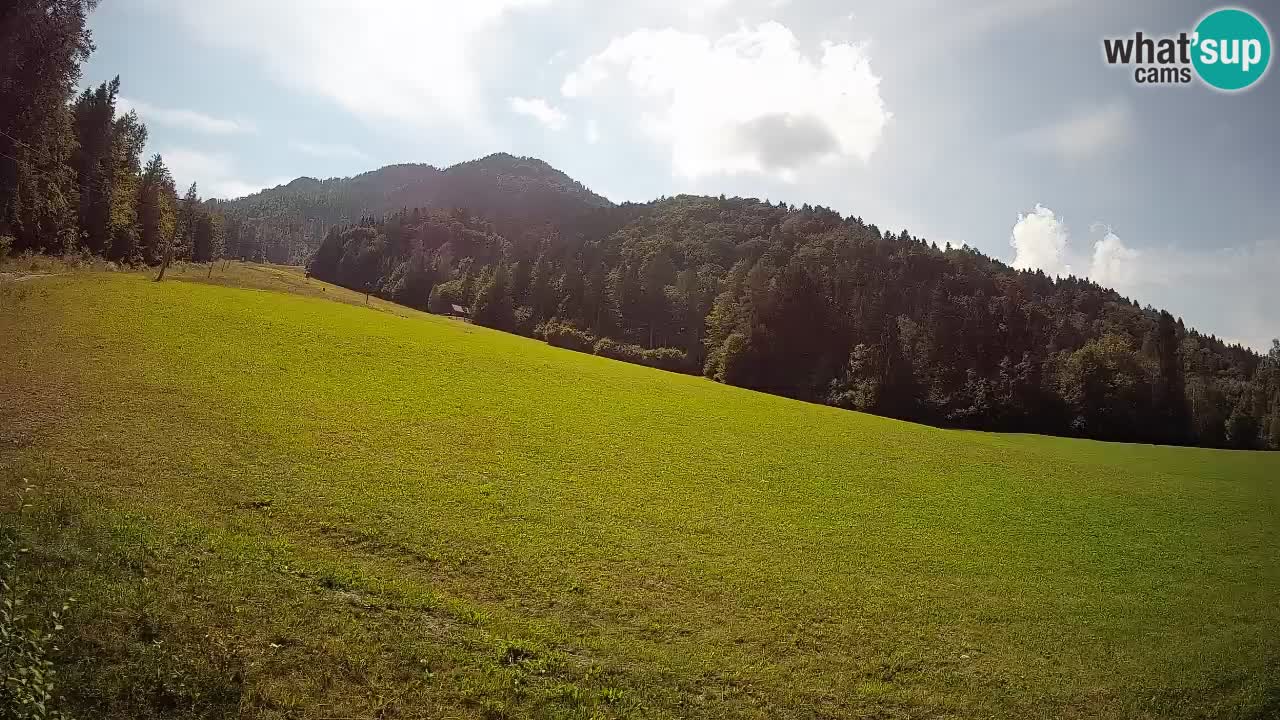 RTC Skigebiet Kranjska Gora | Brsnina