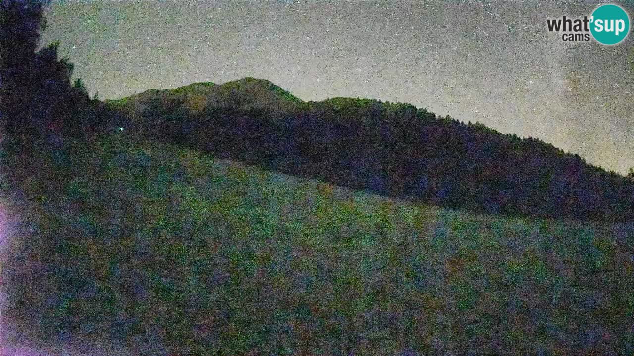 Kranjska Gora SKIJANJE | Brsnina