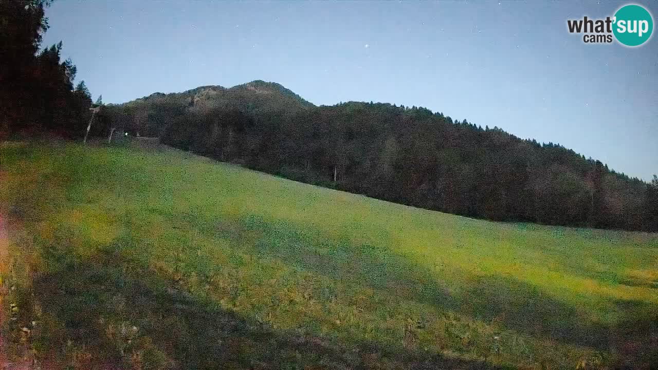 Ski Kranjska Gora | Brsnina
