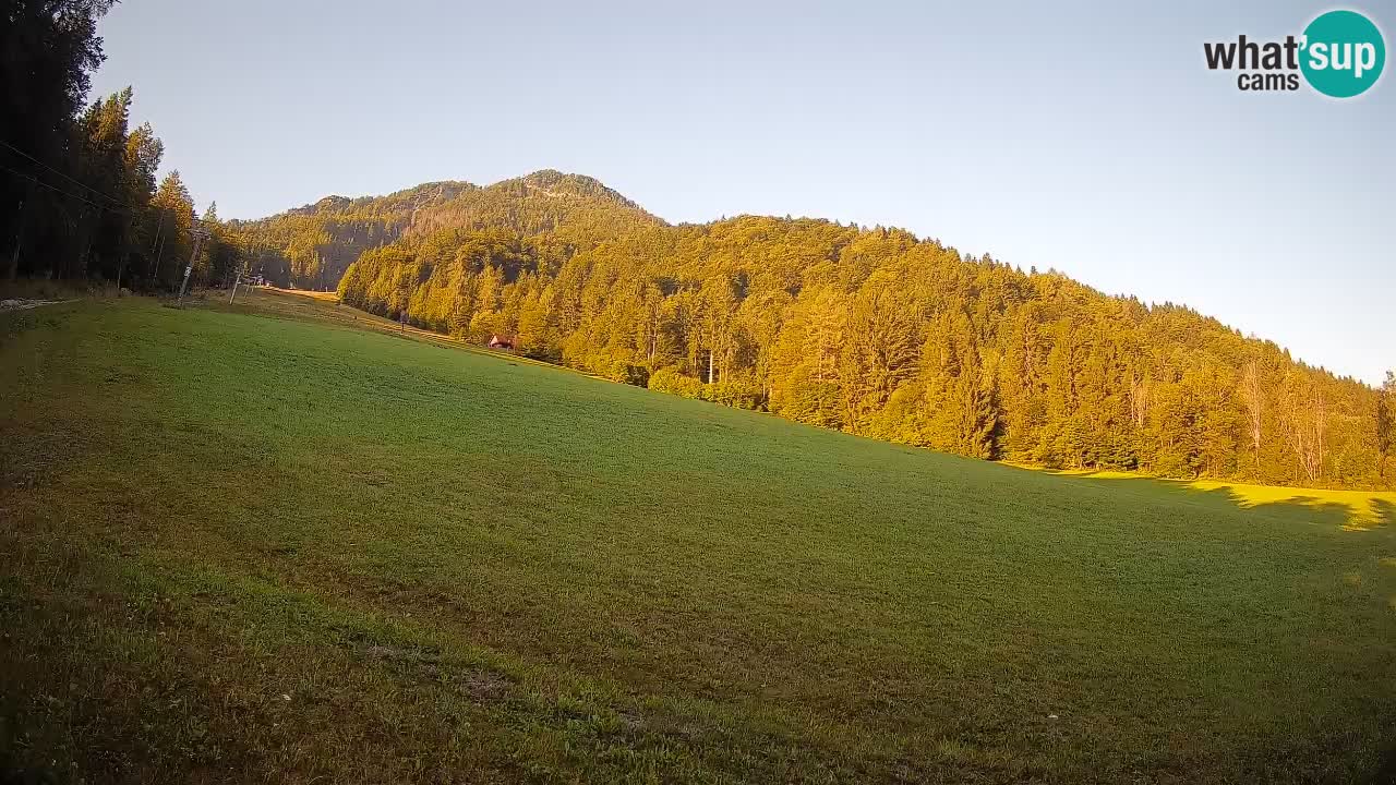 Ski Kranjska Gora | Brsnina