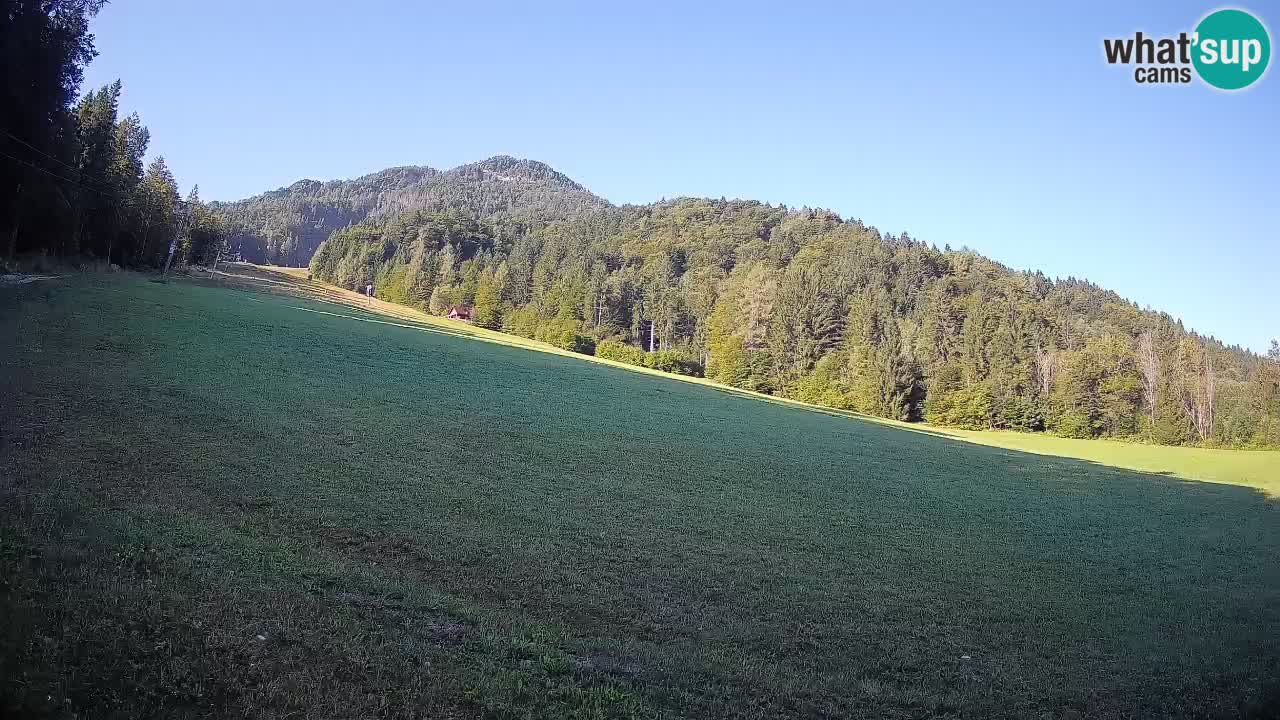 Esquí Kranjska Gora | Brsnina