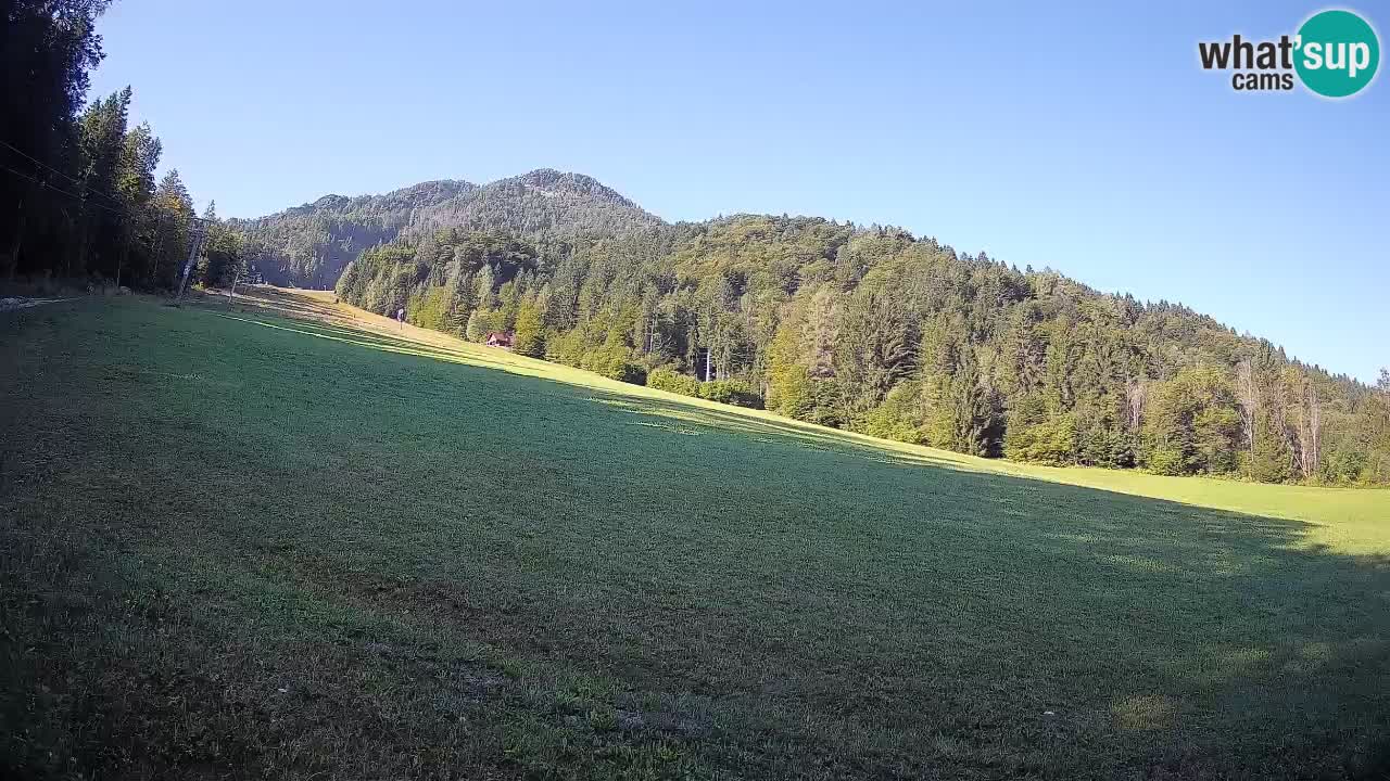 Ski Kranjska Gora | Brsnina