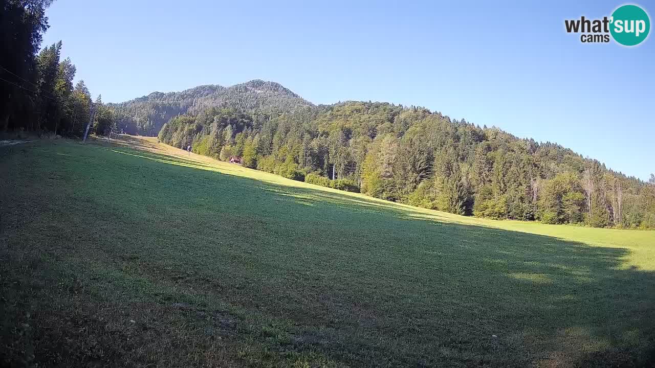 RTC Skigebiet Kranjska Gora | Brsnina