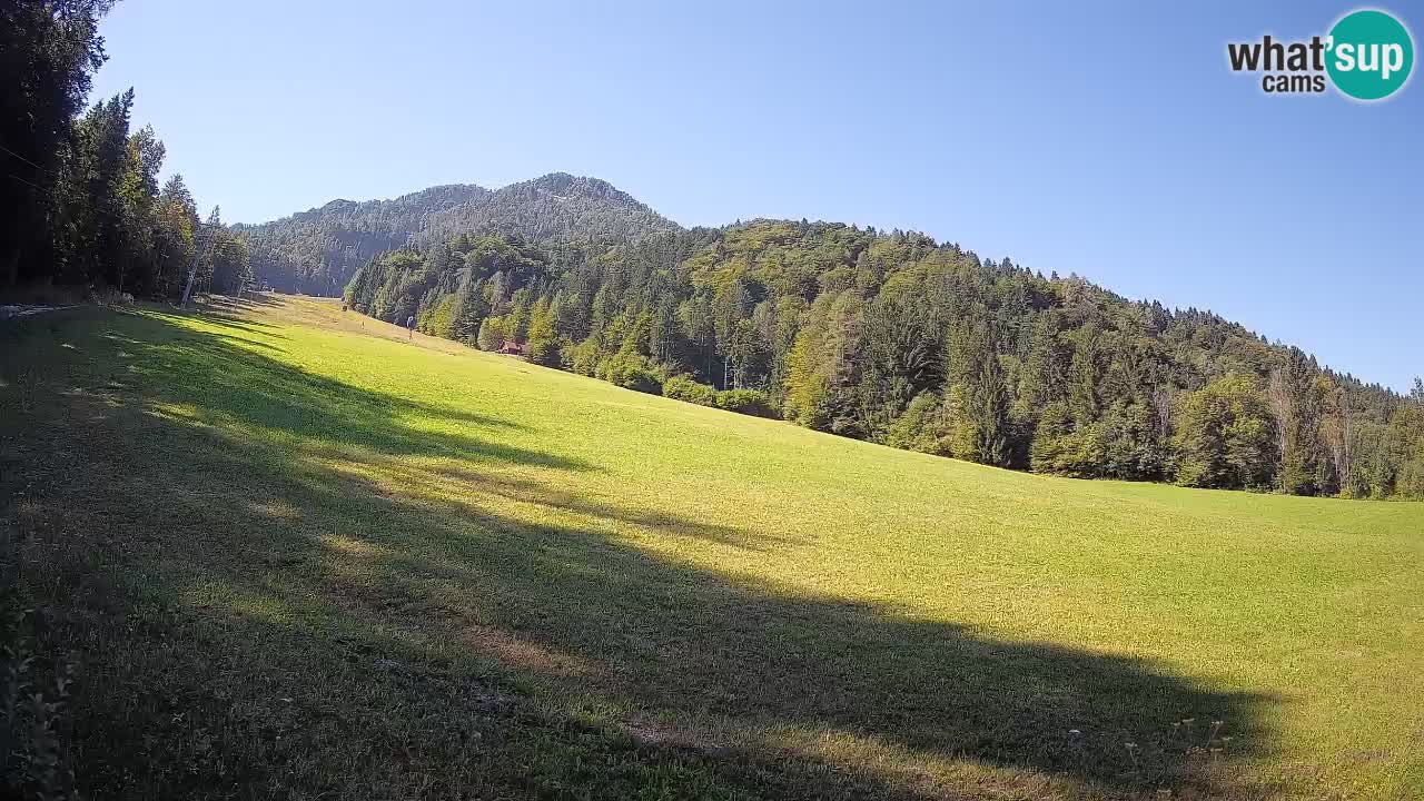 Kranjska Gora Station de ski | Brsnina