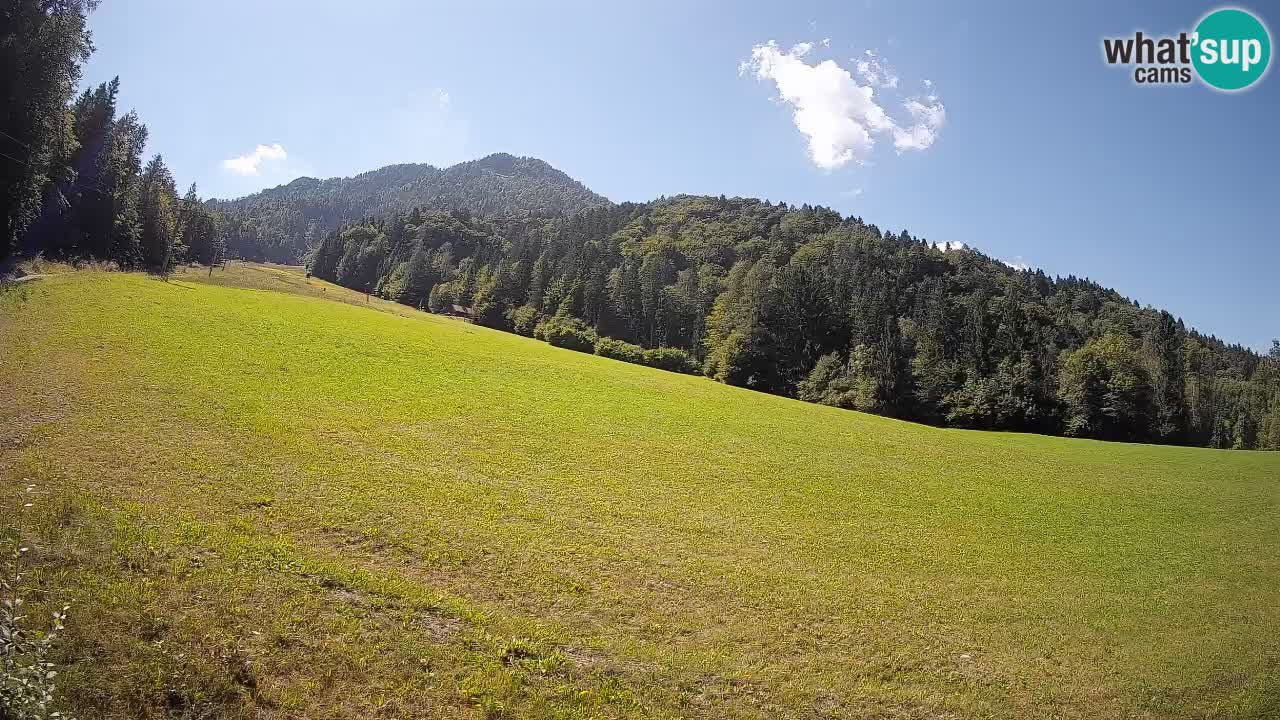 Ski Kranjska Gora | Brsnina