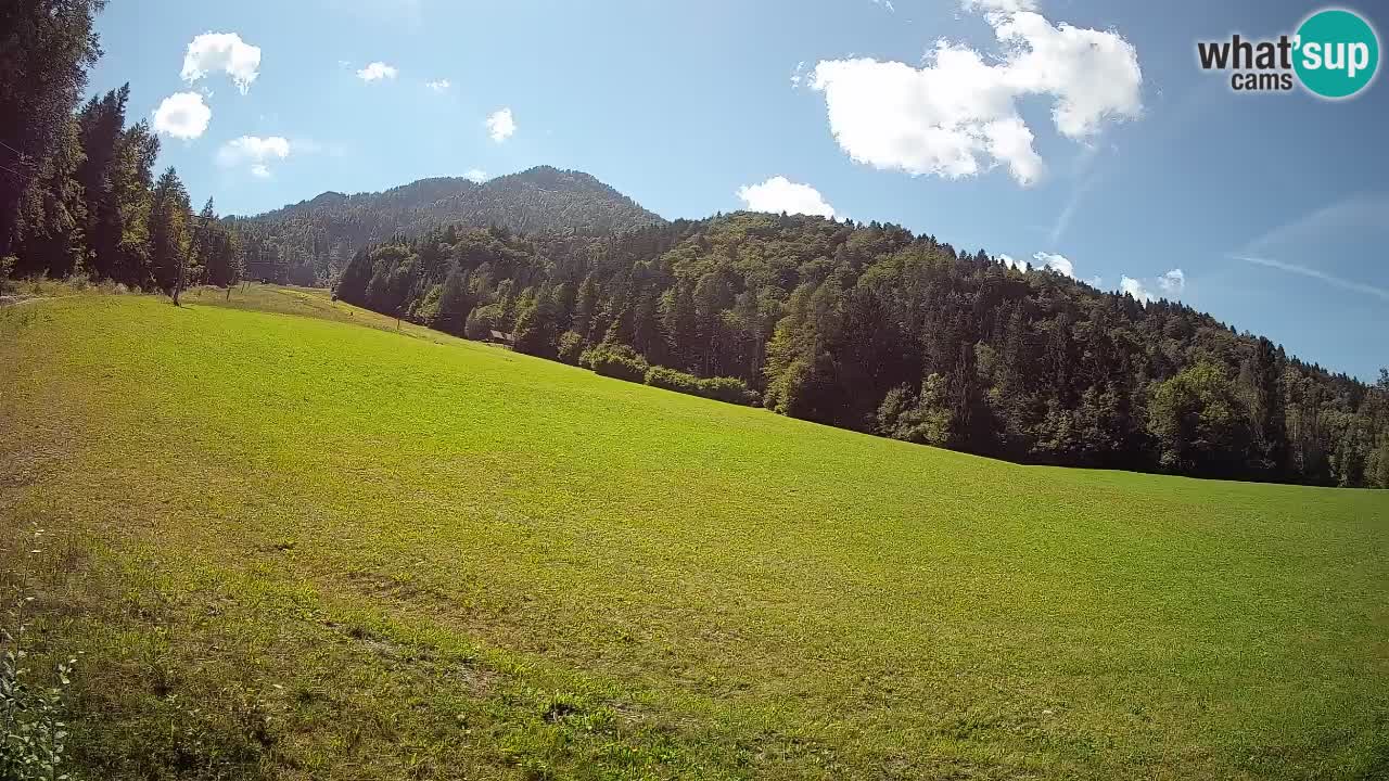 Comprensorio sciistico Kranjska Gora | Brsnina