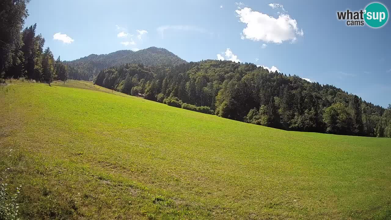 Kranjska Gora SKIJANJE | Brsnina