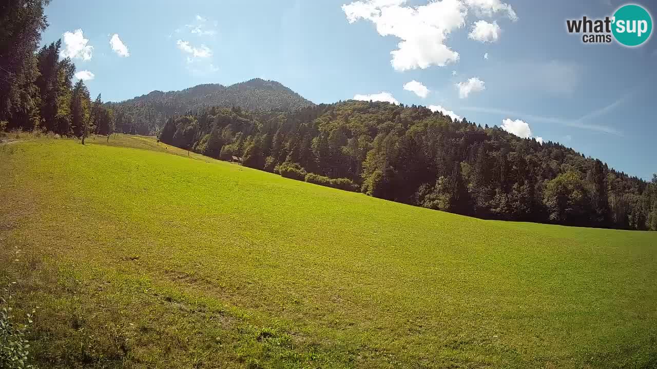 RTC Skigebiet Kranjska Gora | Brsnina