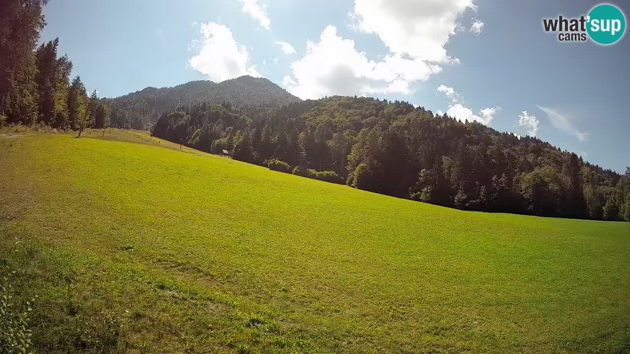 Esquí Kranjska Gora | Brsnina