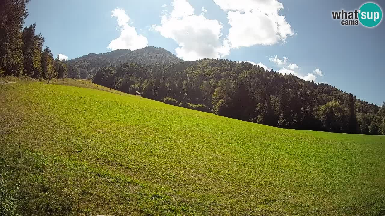 RTC Skigebiet Kranjska Gora | Brsnina