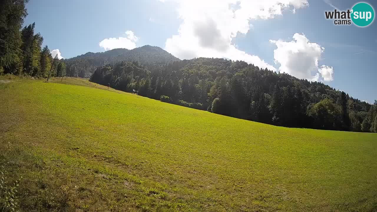 RTC Skigebiet Kranjska Gora | Brsnina