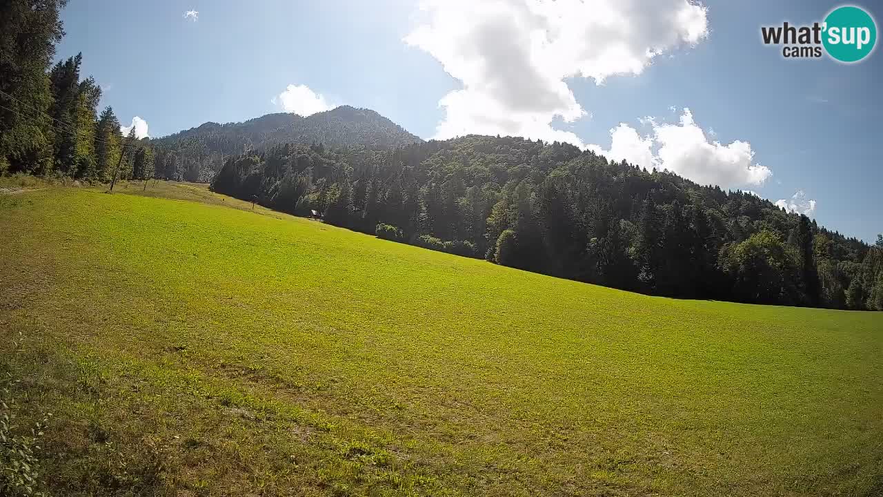 Ski Kranjska Gora | Brsnina
