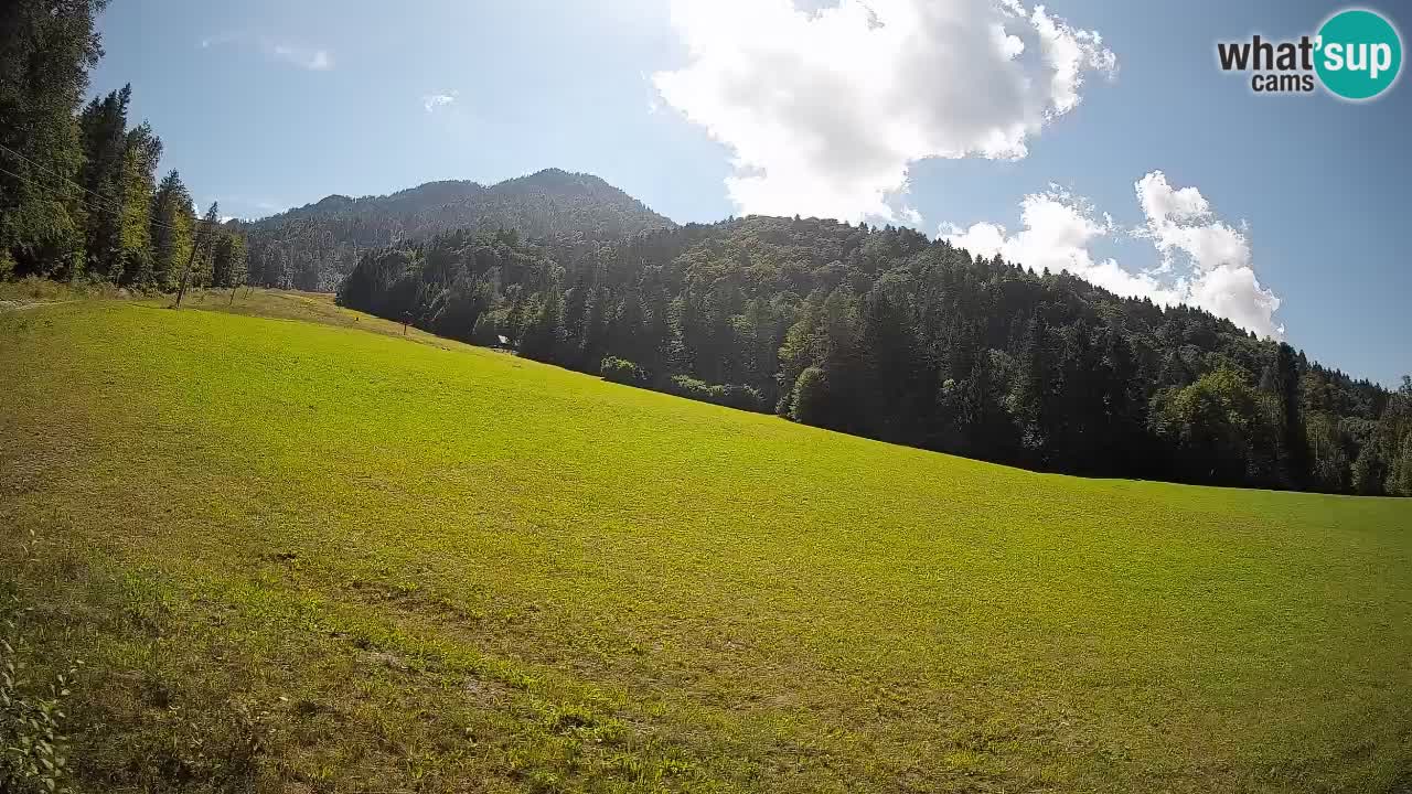 Esquí Kranjska Gora | Brsnina