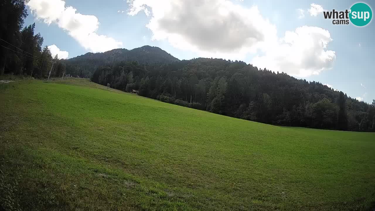 Ski Kranjska Gora | Brsnina