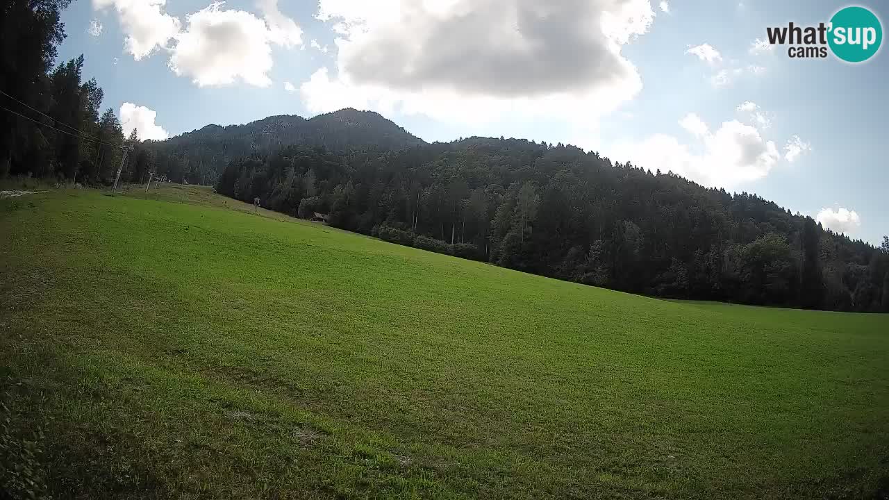 Kranjska Gora Station de ski | Brsnina