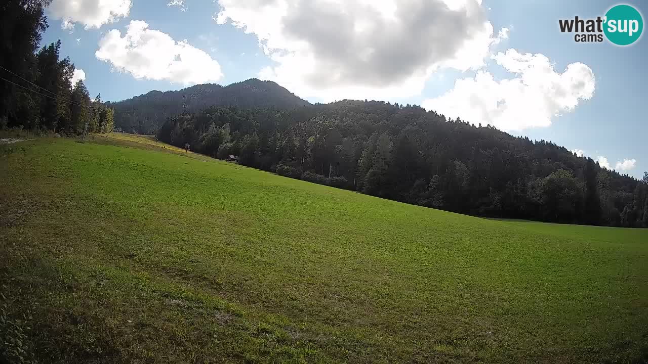 Comprensorio sciistico Kranjska Gora | Brsnina