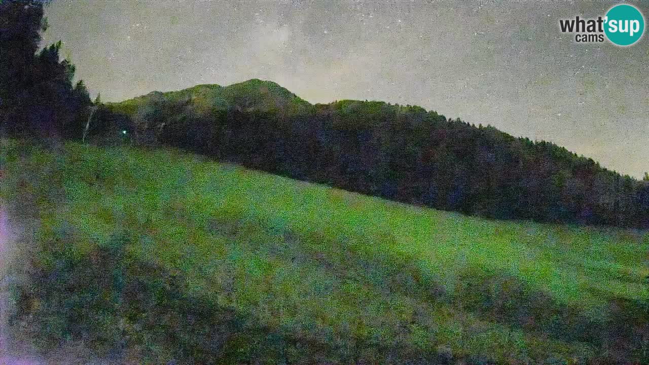 Comprensorio sciistico Kranjska Gora | Brsnina
