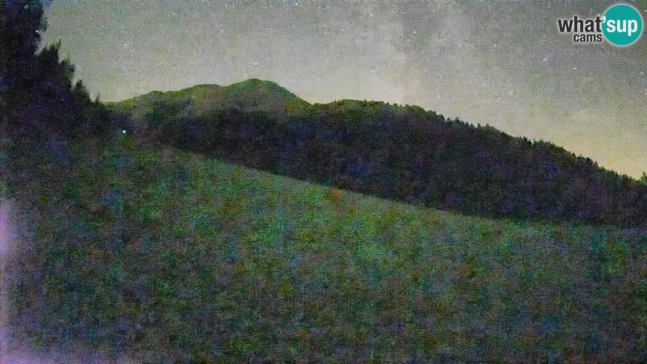 Comprensorio sciistico Kranjska Gora | Brsnina