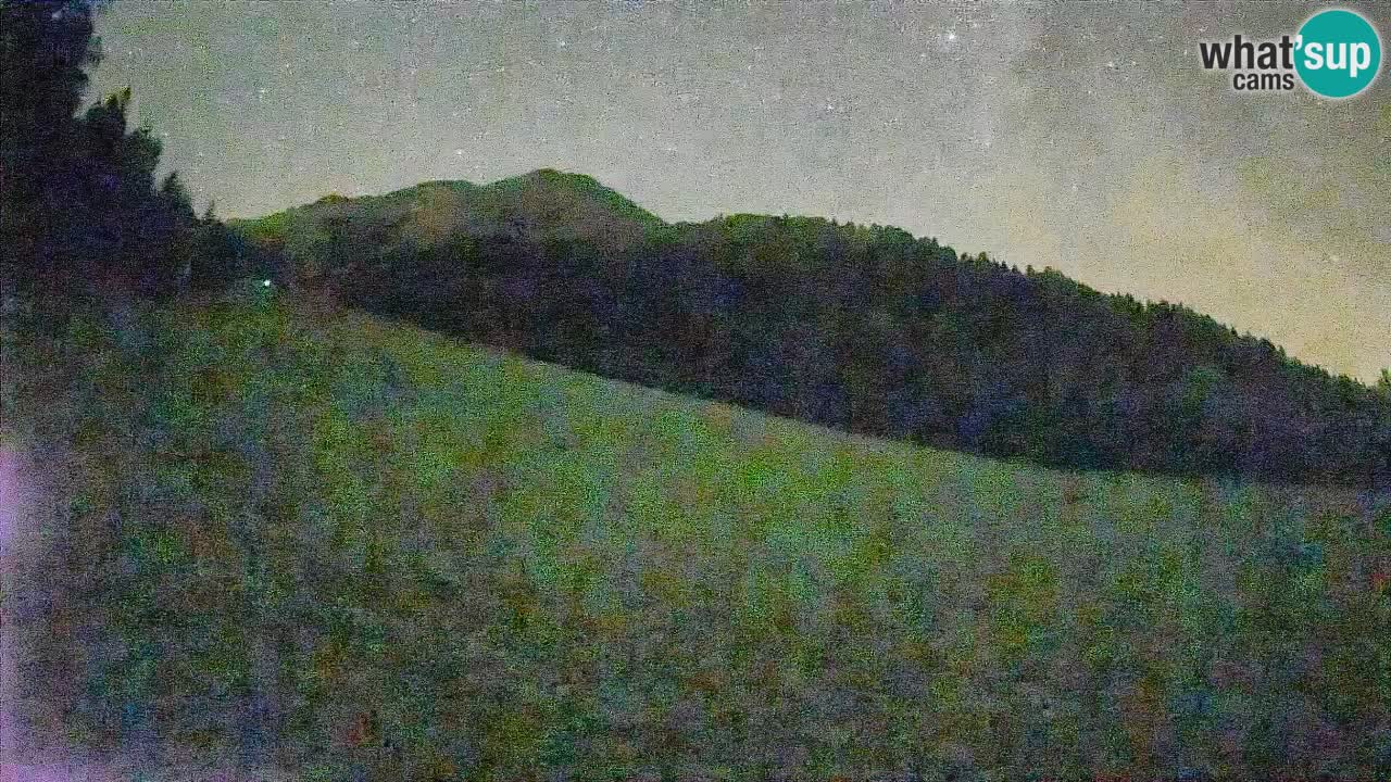 RTC Kranjska Gora | Brsnina