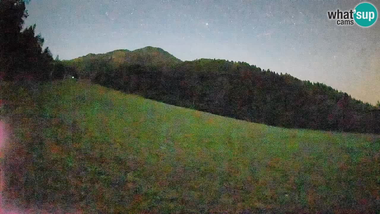 Kranjska Gora Station de ski | Brsnina