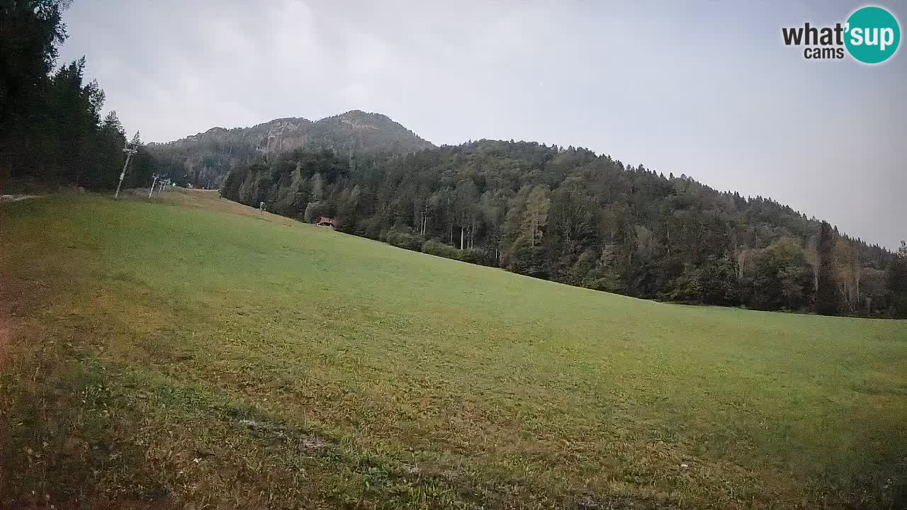 Kranjska Gora Station de ski | Brsnina