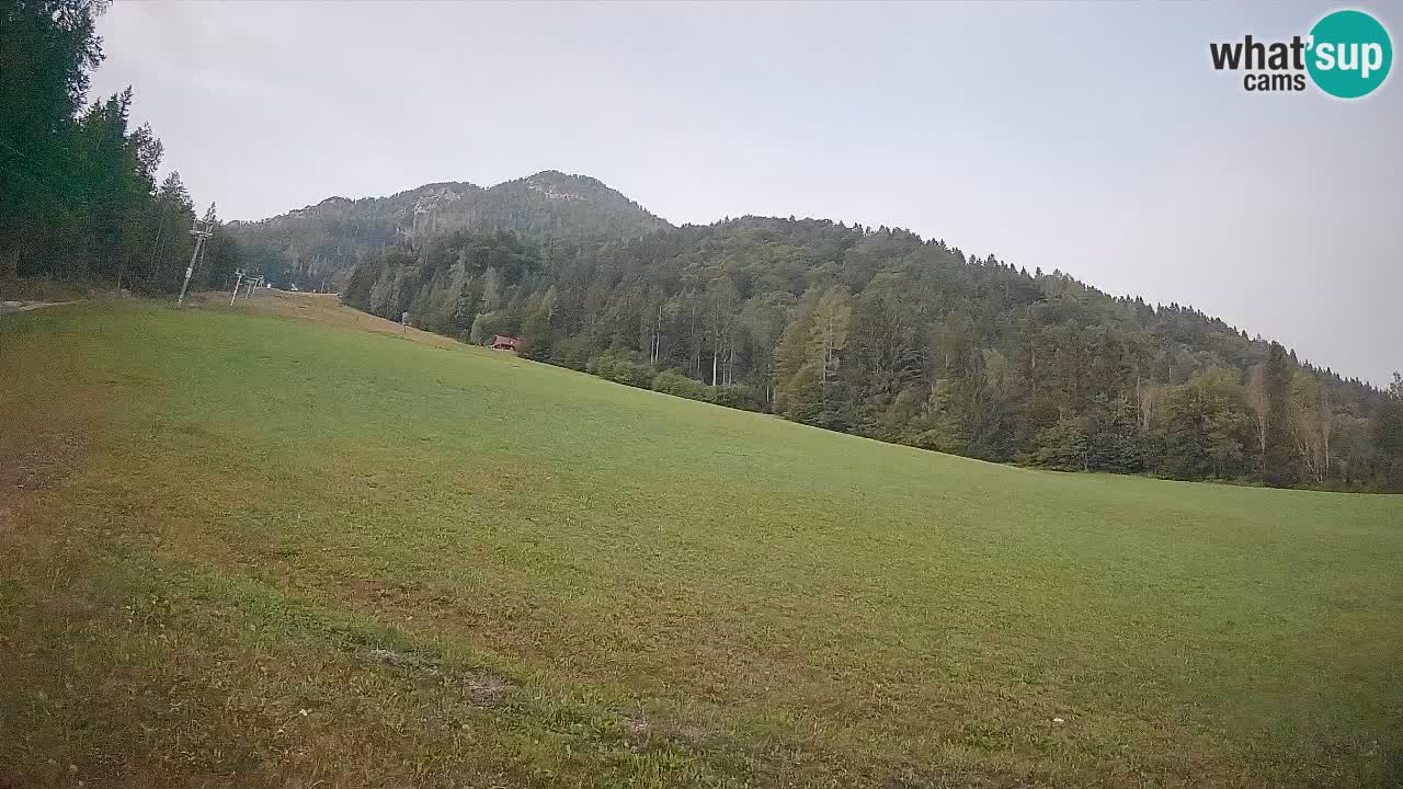 Esquí Kranjska Gora | Brsnina