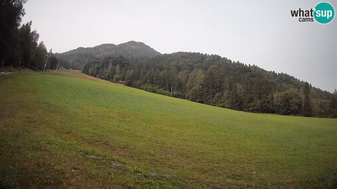 RTC Kranjska Gora | Brsnina