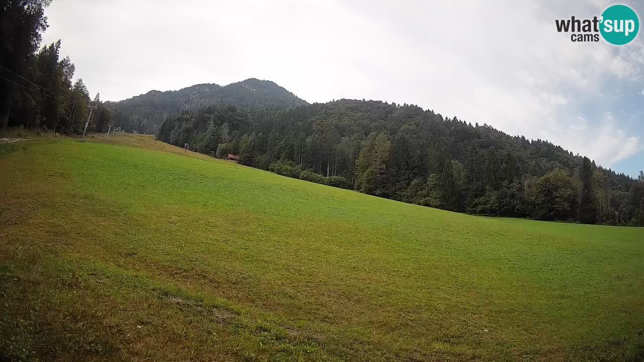 RTC Kranjska Gora | Brsnina