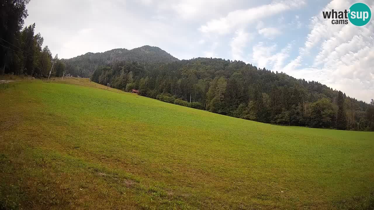Kranjska Gora Station de ski | Brsnina